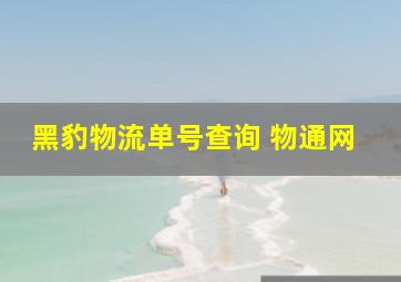 黑豹物流单号查询 物通网